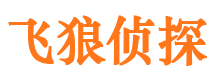 邱县市调查公司